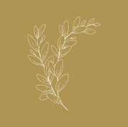 Icon 1.png